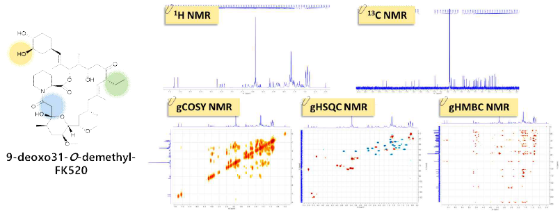 1H-, 13C-, gCOSY, gHSQC, gHMBC NMR 등을 이용한 구조분석 결과 (9-deoxo-31-O-demethyl-FK520)