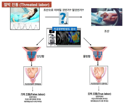 2세부과제 연구 개념 모식도