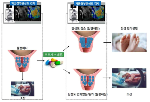 3세부과제 연구 개념 모식도