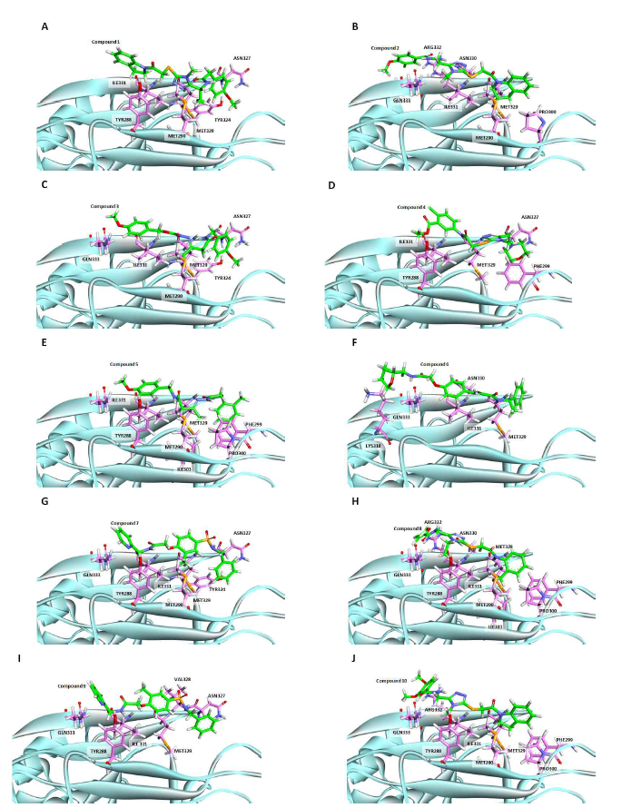 후보 화합물들의 결합 모드 분석 (A) 화합물 1의 결합 모드 (B) 화합물 2의 결합 모드 (C) 화합물 3의 결합 모드 (D) 화합물 4의 결합모드 (E) 화합물 5의 결합 모드 (F) 화합물 6의 결합 모드 (G) 화합 물 7의 결합 모드 (H) 화합물 8의 결합 모드 (I) 화합물 9의 결합 모드 (J) 화합물 10의 결합 모드