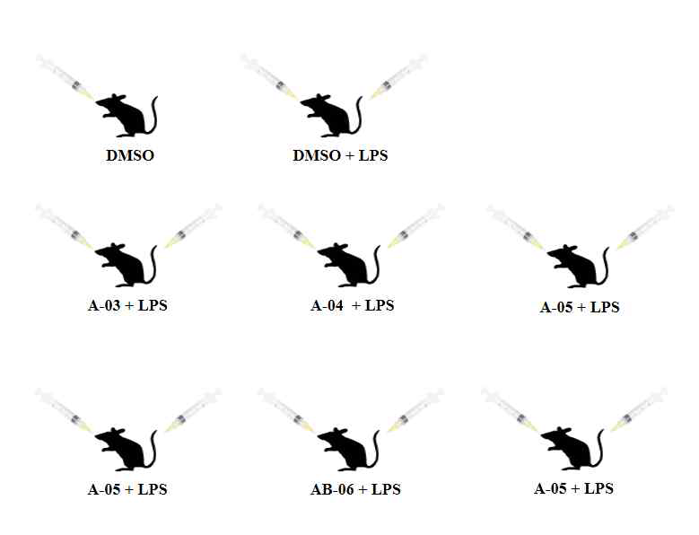 Procedure of In Vivo Test