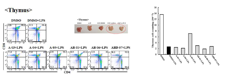 패혈증 생쥐모델에서 NFATC2 억제제(A05)의 흉선에서의 영향