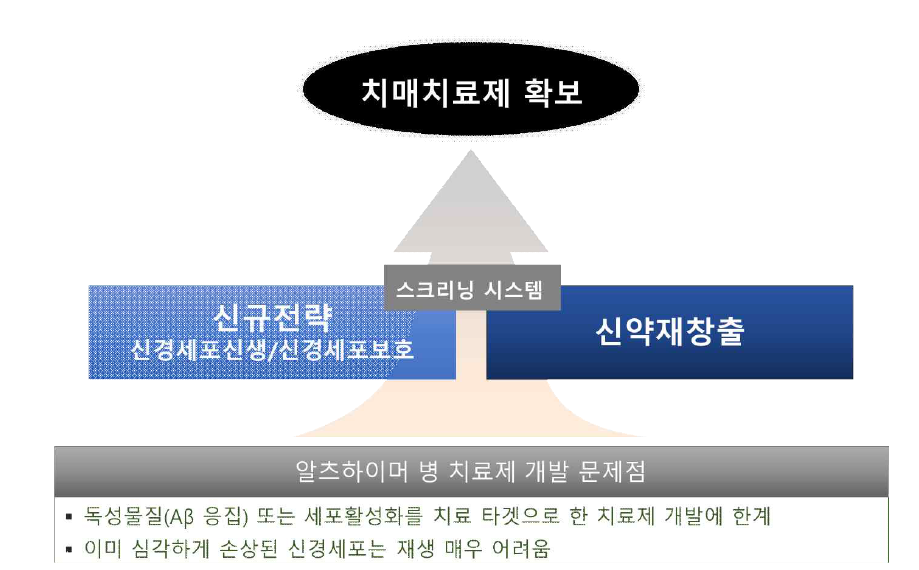 연구개발 추진전략