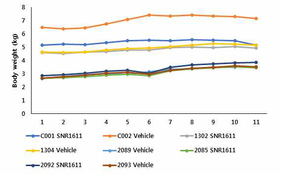 SNR1611을 투여한 영장류의 9개월간 몸무게 추이