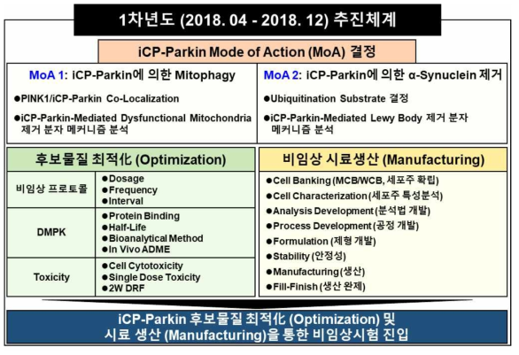 1차년도 개발개요 및 추진체계