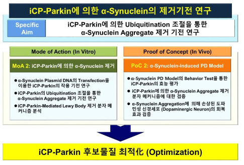 iCP-Parkin에 의한 α-Synuclein의 제거기전 연구 계획