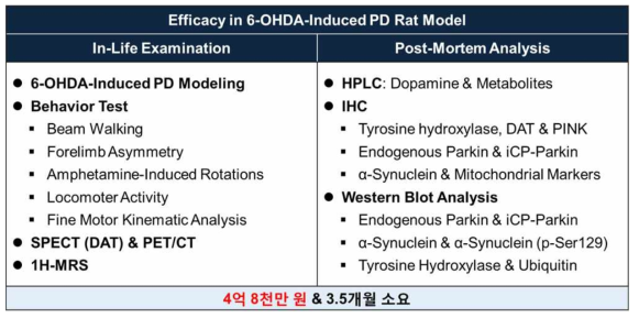 파킨슨병 동물모델 (PoC1) 에서의 효능평가 항목