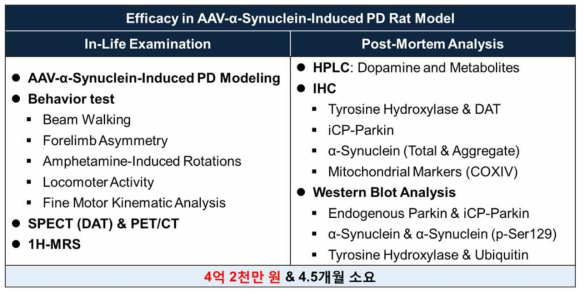 파킨슨병 동물모델 (PoC2) 에서의 효능평가 항목