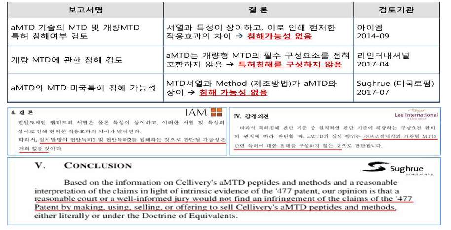 aMTD-enabled TSDT 플랫폼과 유사기술과의 특허침해 검토 보고서