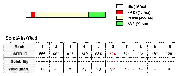 Parkin과 SDB가 결합된 기본구조 및 solubility & yield 비교. Structure of Parkin recombinant proteins fused to aMTD524 and SDB (iCP-Parkin). Structure, solubility and yield of aMTD/SD-fused recombinant proteins for the selection of structurally stable Parkin recombinant protein