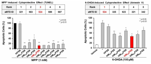 aMTD/SD-fused Parkin proteins의 MPP+ 유도 in vitro PD 모델에서의 세포보호효과 검증 (Tunel & Annexin V assay)