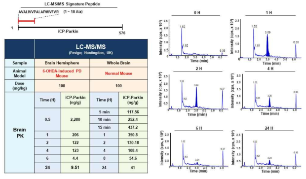 LC-MS/MS 분석을 통한 brain내의 iCP-Pakrin의 detection 양