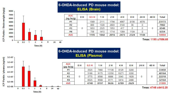 ELISA 분석을 통한 brain내의 iCP-Pakrin의 AUC 값