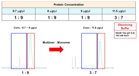 단백질 농도 (concentration)에 따른 multimer ratio 및 stability