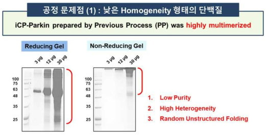 Previous Process (PP)의 문제점