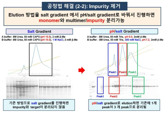 Elution 조건 변경 후 iCP-Parkin의 purity 증가
