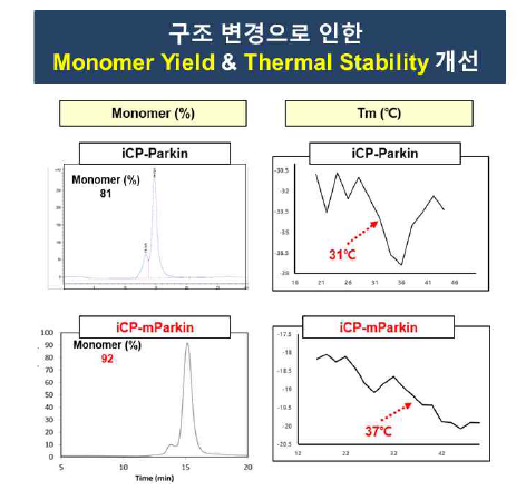 iCP-mParkin의 monomer 및 stability 개선