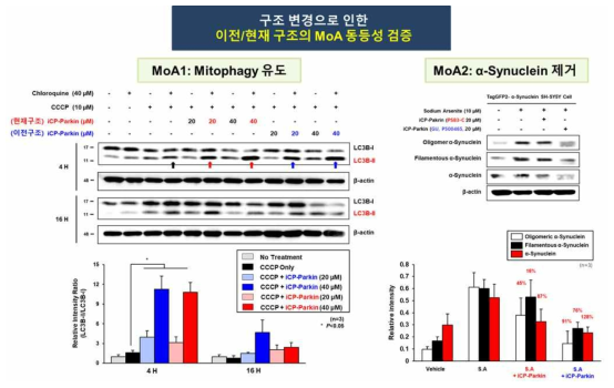 iCP-Parkin과 iCP-mParkin의 MoA 비교검증