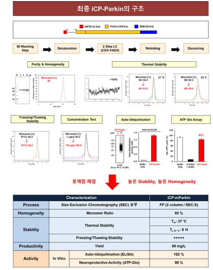 구조가 변경된 iCP-Parkin의 개선된 stability, mulitmerization, purification process 이슈