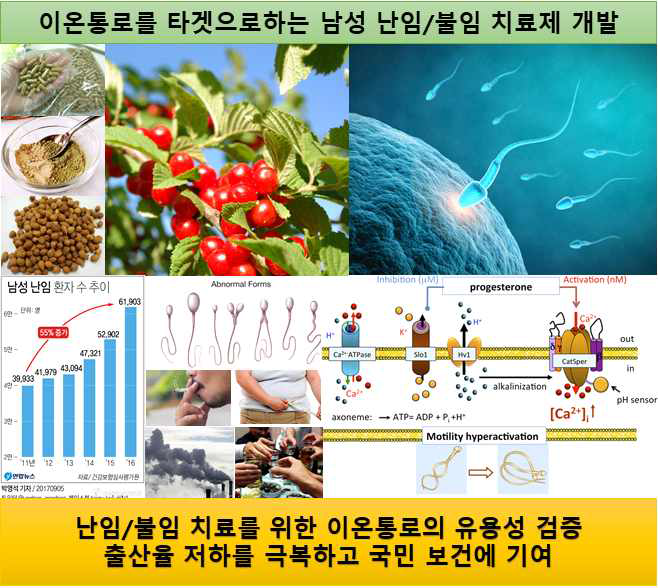 연구과제의 최종목표