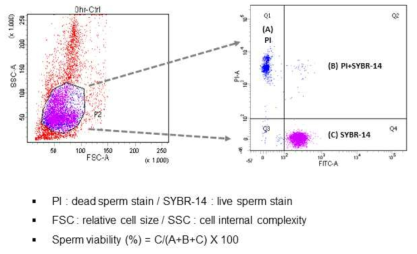 정자의 생존율 산정 방법