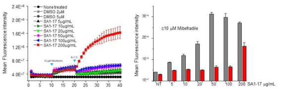 CatSper inhibitor, Mibefradile의 SA1-17에 의한 칼슘증가 차단 효과