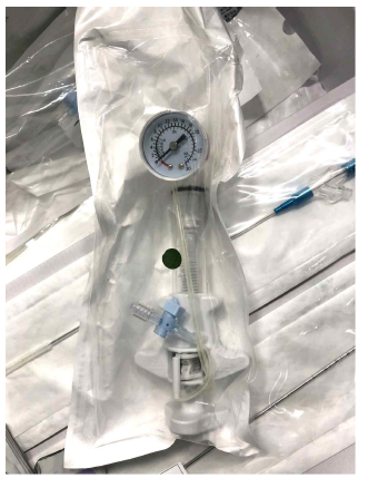 미니돼지 척수손상 모델을 확립하기 위해 사용한 balloon catheter
