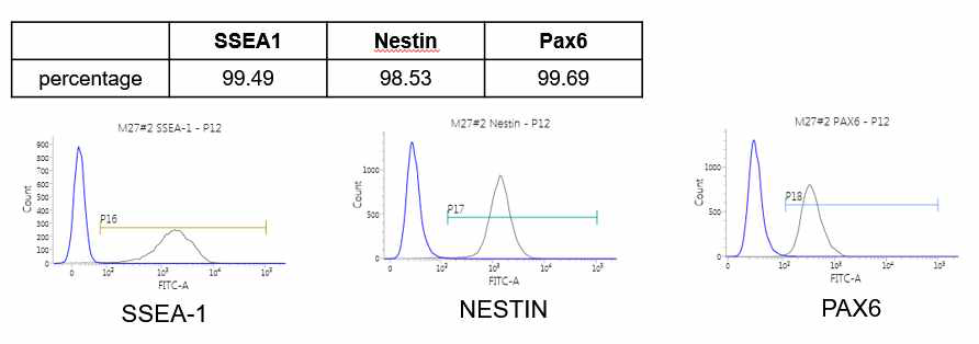 유세포분석을 이용하여 신경줄기세포마커 발현 확인(iNSC-M27-0321)