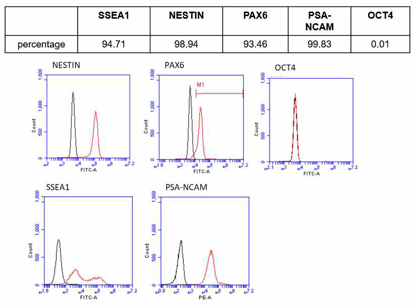 유세포분석을 이용하여 신경줄기세포마커 발현 확인(iNSC-F36-0703)