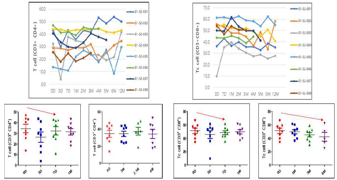환자의 혈액 내 림프구 분석 (투여 후 T, Tc cell비율의 증가)