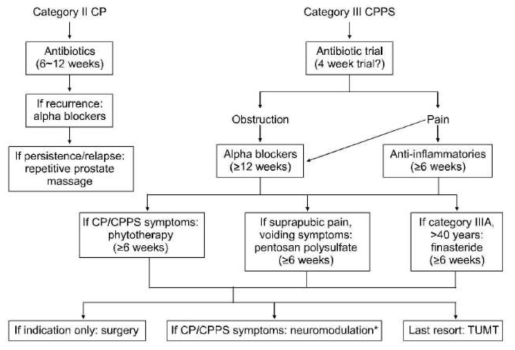 만성전립선염/만성골반통증증후군 (CP/CPPS) 치료 알고리즘
