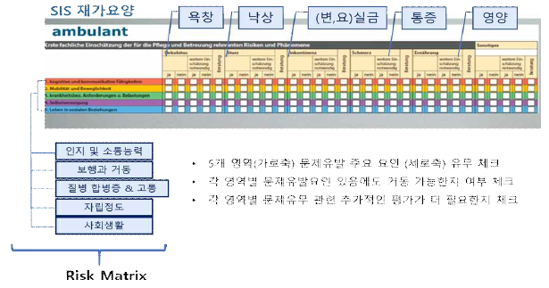 각 돌봄 영역과 각 영역 위험요인 분석을 위한 SIS-Risk Matrix