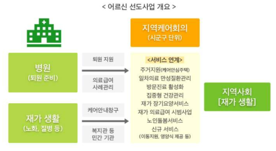 노인 선도사업