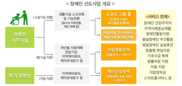 장애인 선도사업