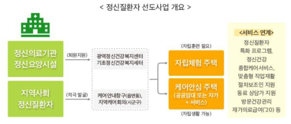 정신질환자 선도사업