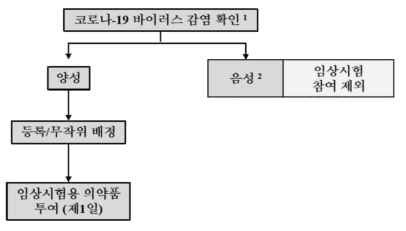 시험 대상자 등록 과정