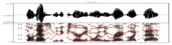 음성 waveform에서 format frequency 예시