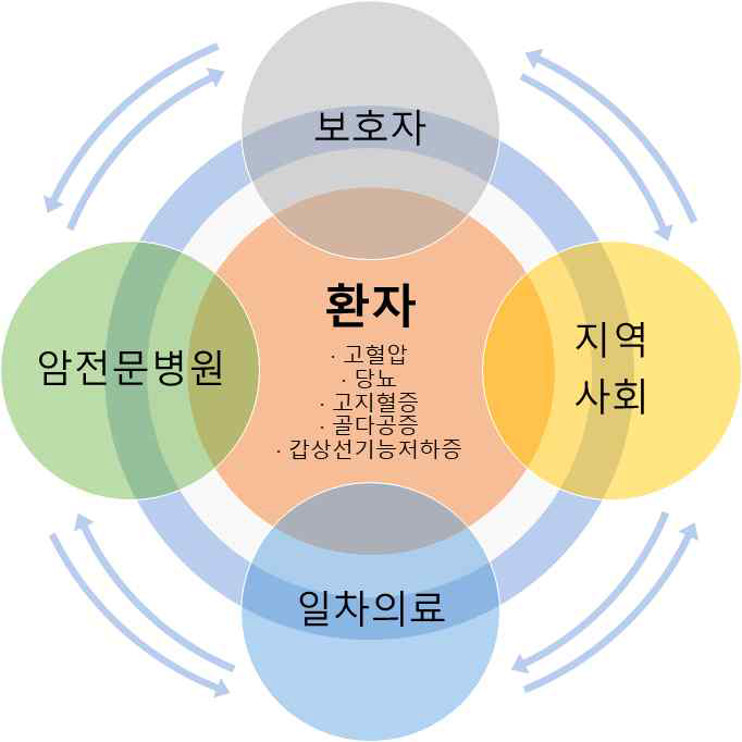 암환자와 암생존자의 만성질환관리 모델(예시)