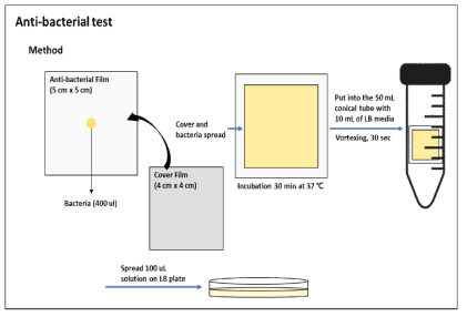 항균 필름의 균 사멸 효능 평가 모식도