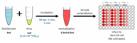 HA용액의 바이러스 사멸 효능 평가 모식도