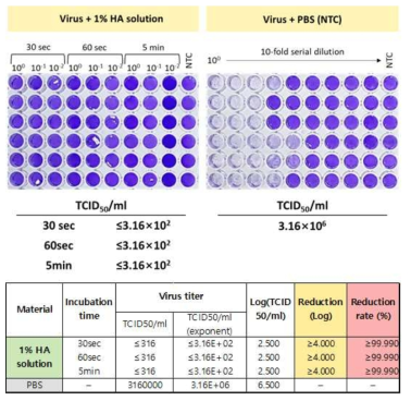 1% HA용액의 SARS-CoV-2 바이러스에 대한 사멸 효능 평가 결과