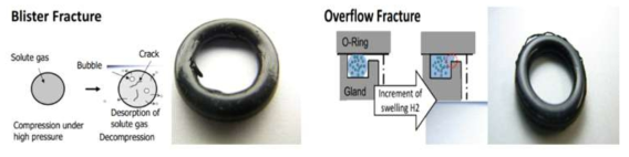 고압 수소 노출에 의한 O-ring 부품의 파단 유형