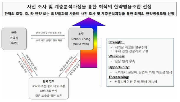 계층분석과정을 통한 병용조합 선정 연구 추진전략