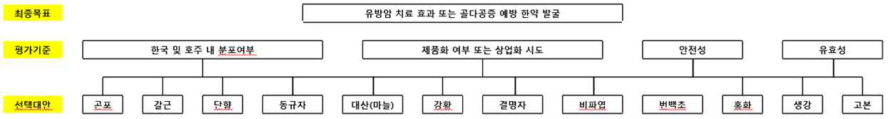 AHP 분석 계층구조 변경버전