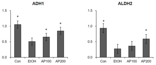 The expression level of ADH1 and ALDH1 mRNA. Con: Control croup; EtOH: Ethanol group; AP100: Apios 100 mg/kg administrated group; AP200: Apios 200 mg/kg administrated group. *p<0.05 vs ethanol group