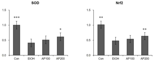 The expression level of SOD and Nrf2 mRNA. Con: Control croup; EtOH: Ethanol group; AP100: Apios 100 mg/kg administrated group; AP200: Apios 200 mg/kg administrated group. *p<0.05 vs ethanol group