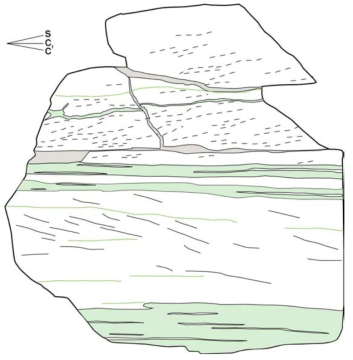 그림 65번 샘플에서 발달한 S-, C-, C’엽리의 형태를 보여주는 모식도