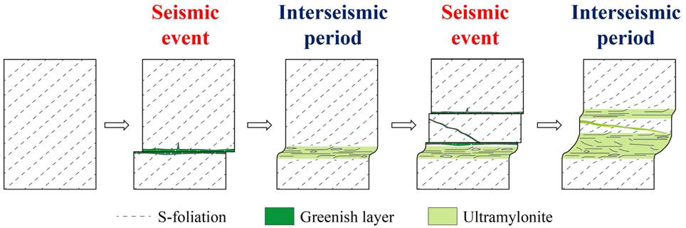 원압쇄암 내부에서 녹색띠가 형성되는 모델. 지진성 슬립시 발달한 녹색띠가 작은 입자크기로 인해 연성변형이 집중되어 비지진성 기간동안 압쇄암과 초압쇄암으로 진화함