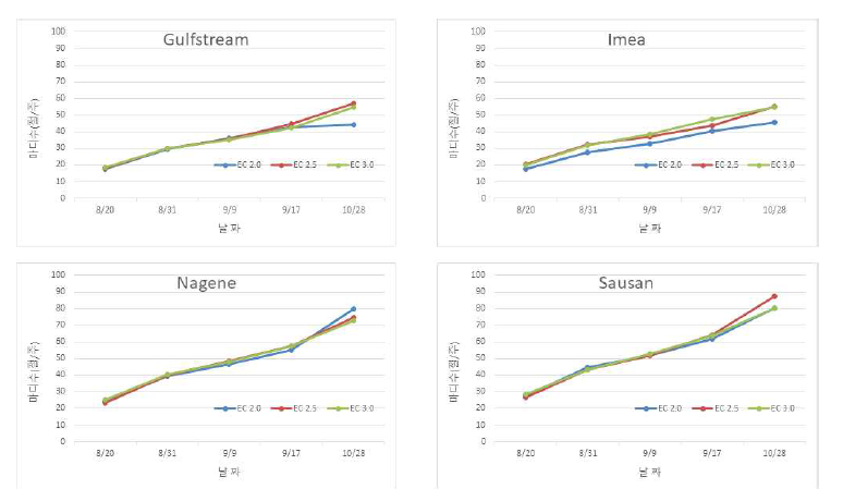 품종별 급액 EC에 따른 마디수의 변화