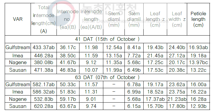 DAT 41, 63 생육조사 (n=6)